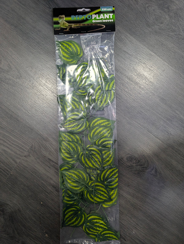 Plantas plástico decoración Ventosa Repto