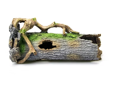 Giganterra Tronco 203