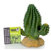 Cactus Decoration (294)