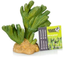 Giganterra Cactus Decoración (296)