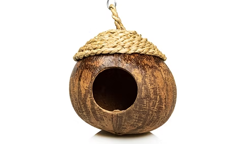 Giganterra Cocos