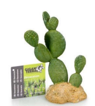 Giganterra Cactus decoración (323)