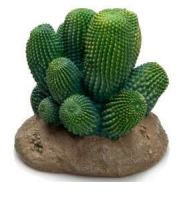 Giganterra Cactus Decoración (342)