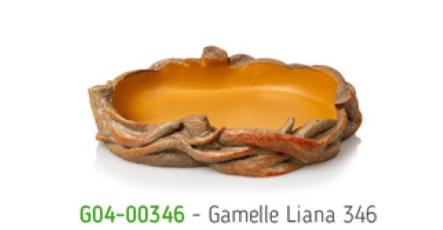 Comedero/Bebedero Liana