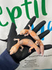 Hemytheconix caudicinctus - Gecko Africano AFT AMEL 0.1  - SOLO QUEDA LA HEMBRA