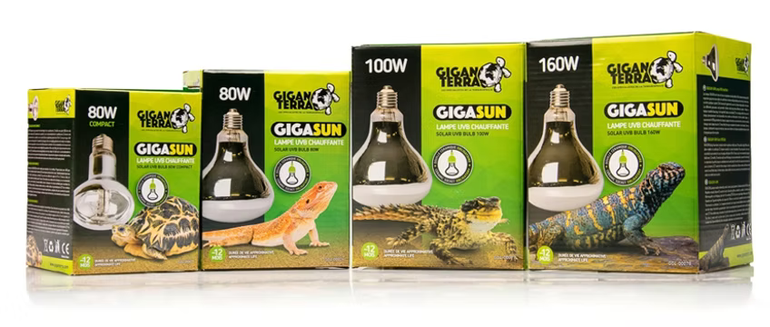 Giganterra Vapor de Mercurio