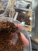 Brachypelma Tarántula