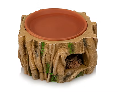 Giganterra Cueva Húmeda con Bebedero 853