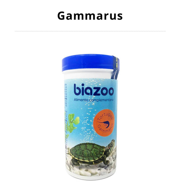 Comida Tortugas Gammarus Biozoo