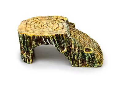 Giganterra Cueva troncos, plataforma con rampa