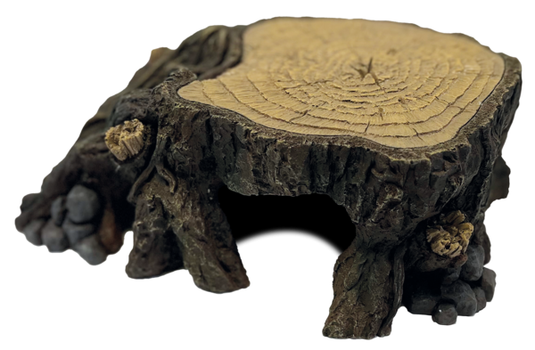 Repto Trunk Cueva tronco