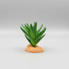 Repto Plantas plástico decoración