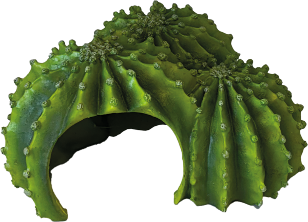 Repto Cactus Triple