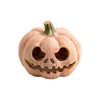 Exo Terra Calabaza Fluorescente
