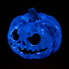 Exo Terra Calabaza Fluorescente