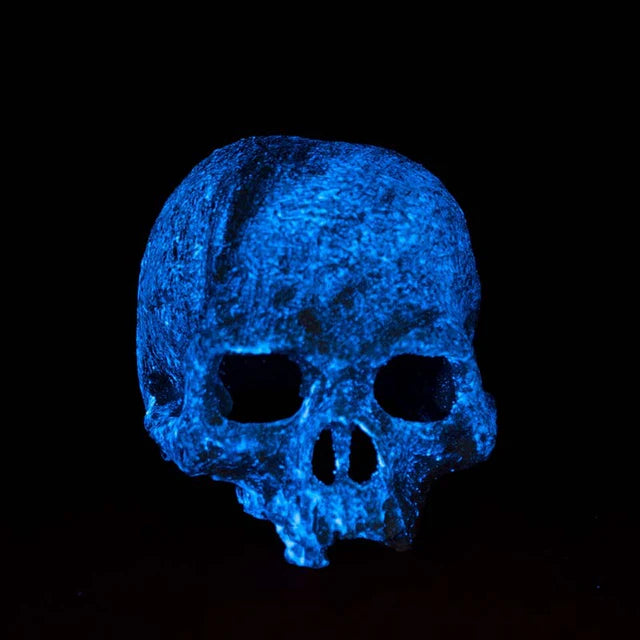 Exo Terra Calavera Fluorescente