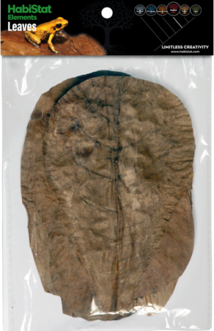 HabiStat Hojas de Catappa 10uds