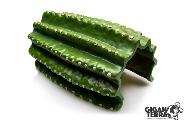 Gigan Terra Cueva Cactus 474