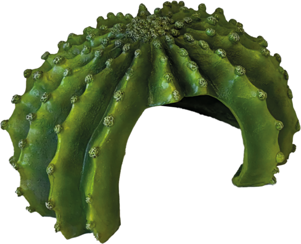 Repto Deco Cactus