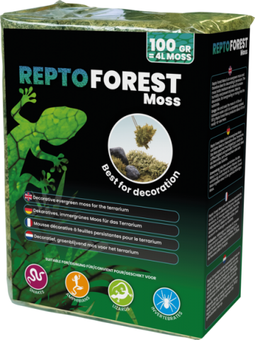 Repto Moss Musgo