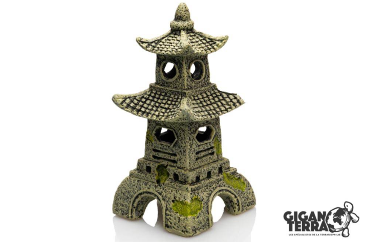 Giganterra Torre China