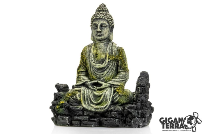Giganterra Budha 632 14x7x17cm