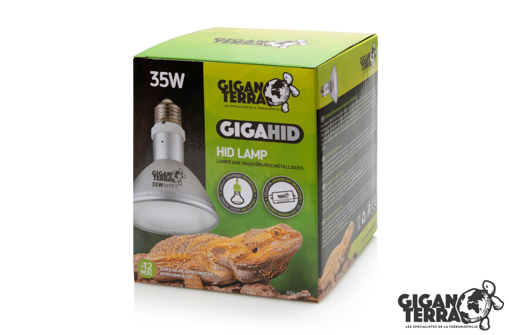 Giganterra Bombillas HID