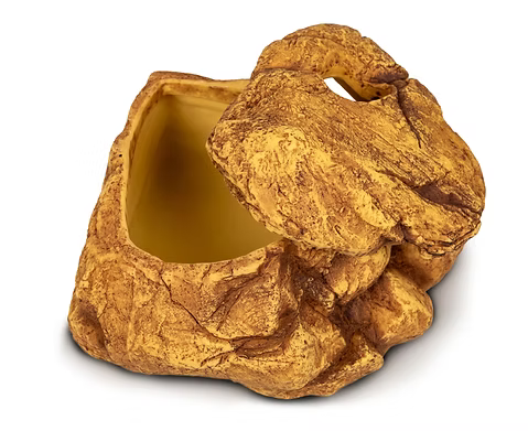 Giganterra Ponedero sahara - cueva humeda resina