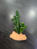 Plantas plástico decoración Repto