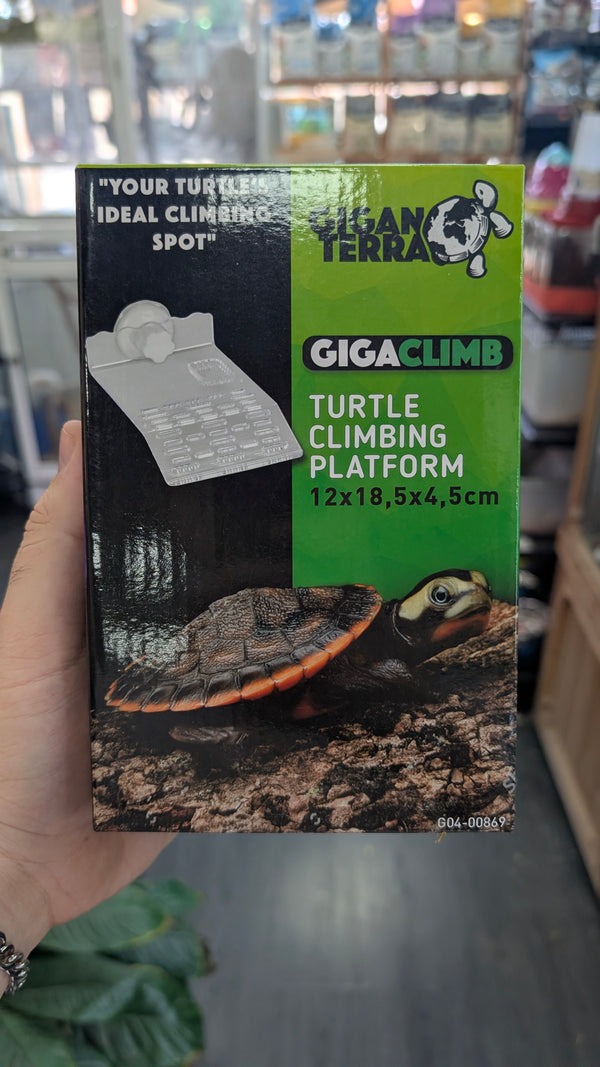 Rampa tortuga plataforma