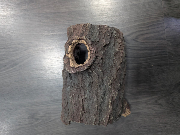 Bark Repto Tronco Decoración