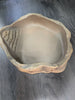 WaterDish Repto