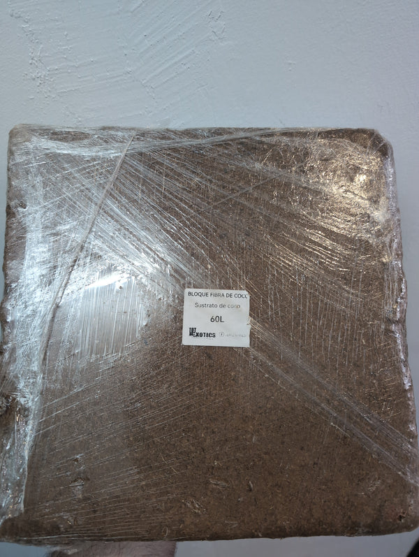 Bloque fibra de coco totexotic 60L