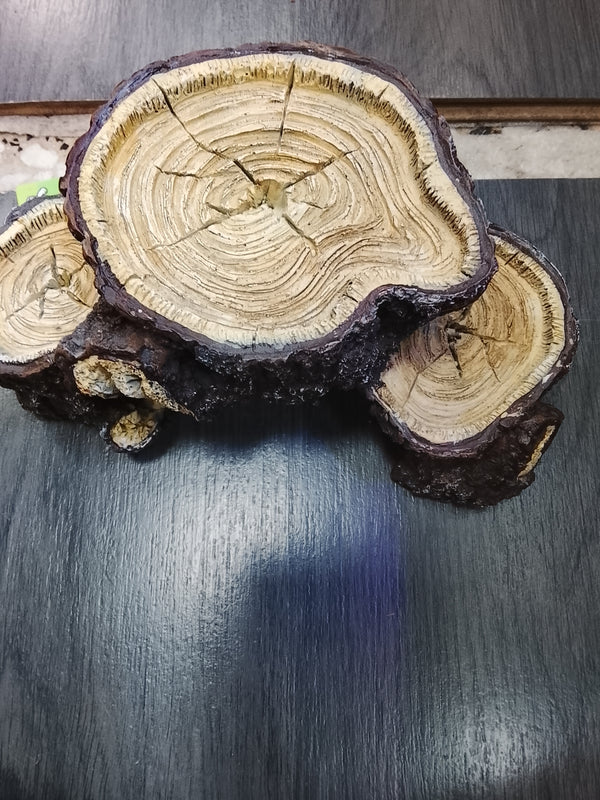 Tronco Plataforma