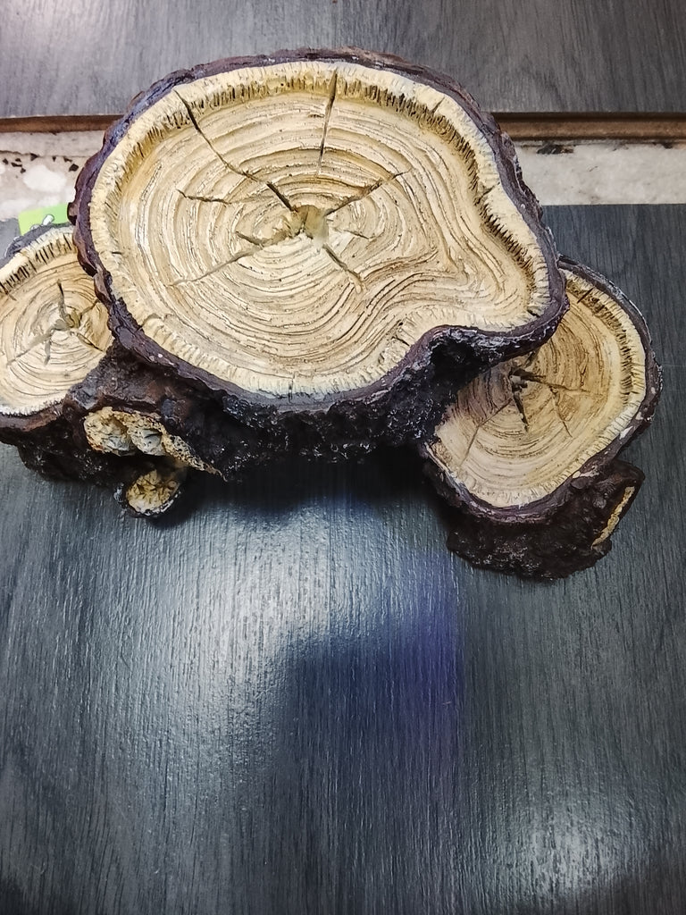 Tronco Plataforma