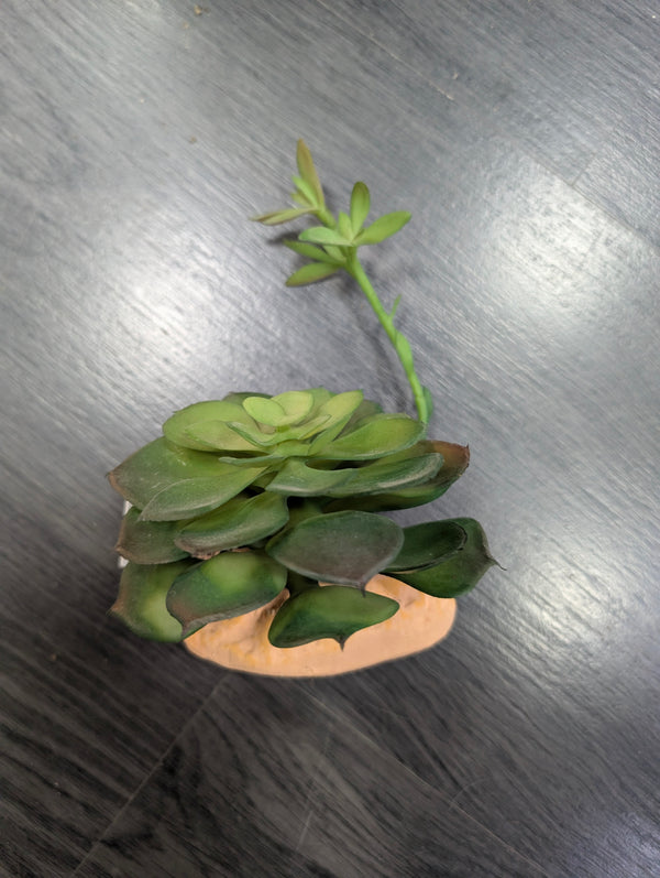Plantas plástico decoración Repto