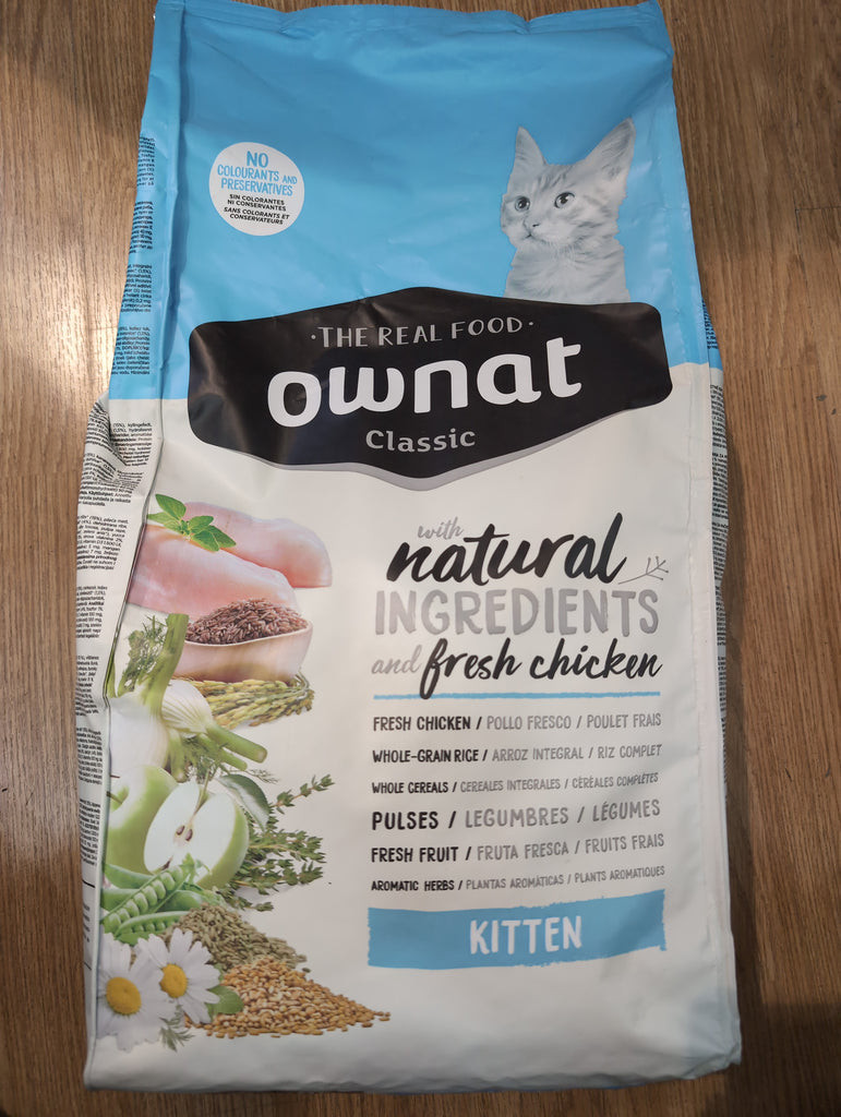 Ownat kitten