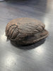 Cocoon Brown, Coco cerámico