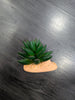 Plantas plástico decoración Repto