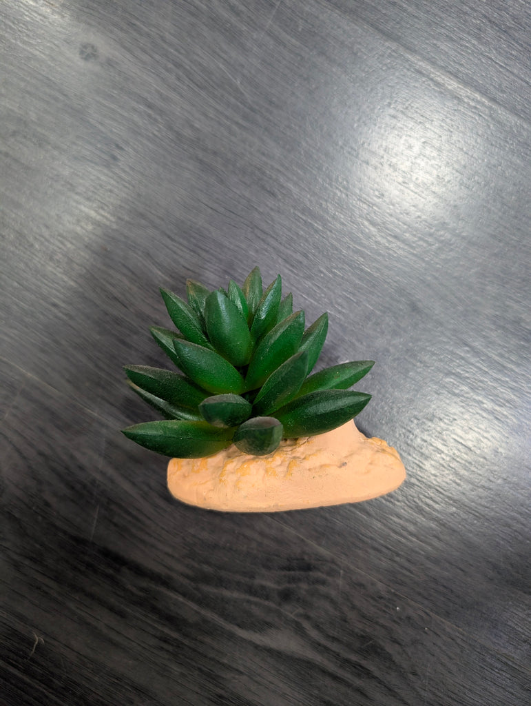 Plantas plástico decoración Repto