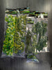 Plantas plástico decoración Ventosa Repto