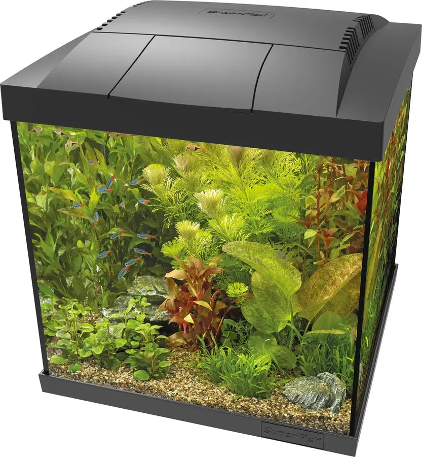 Start Qube Kit  SuperFIsh