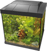 Start Qube Kit  SuperFIsh