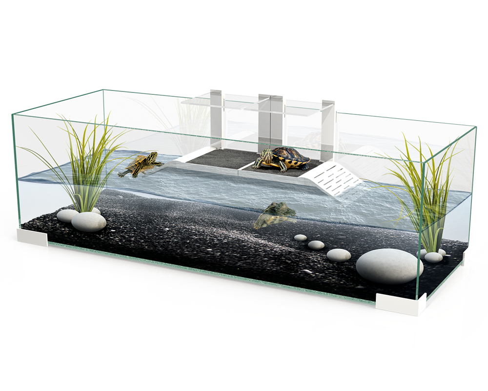 Tortugueras de cristal con plataforma