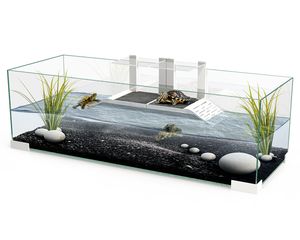 Tortuguera de Cristal con Plataforma para Tortugas Acuáticas