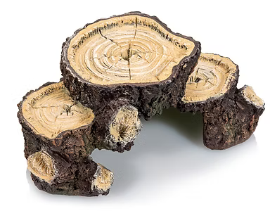 Giganterra Cueva tres troncos Plataforma