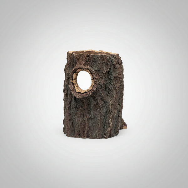 Repto Bark Tronco Decoración