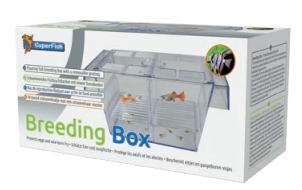 Breeding Box. - SuperFish -  cajas para criar