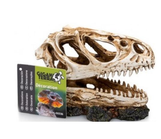 Cráneo de Dinosaurio n°336